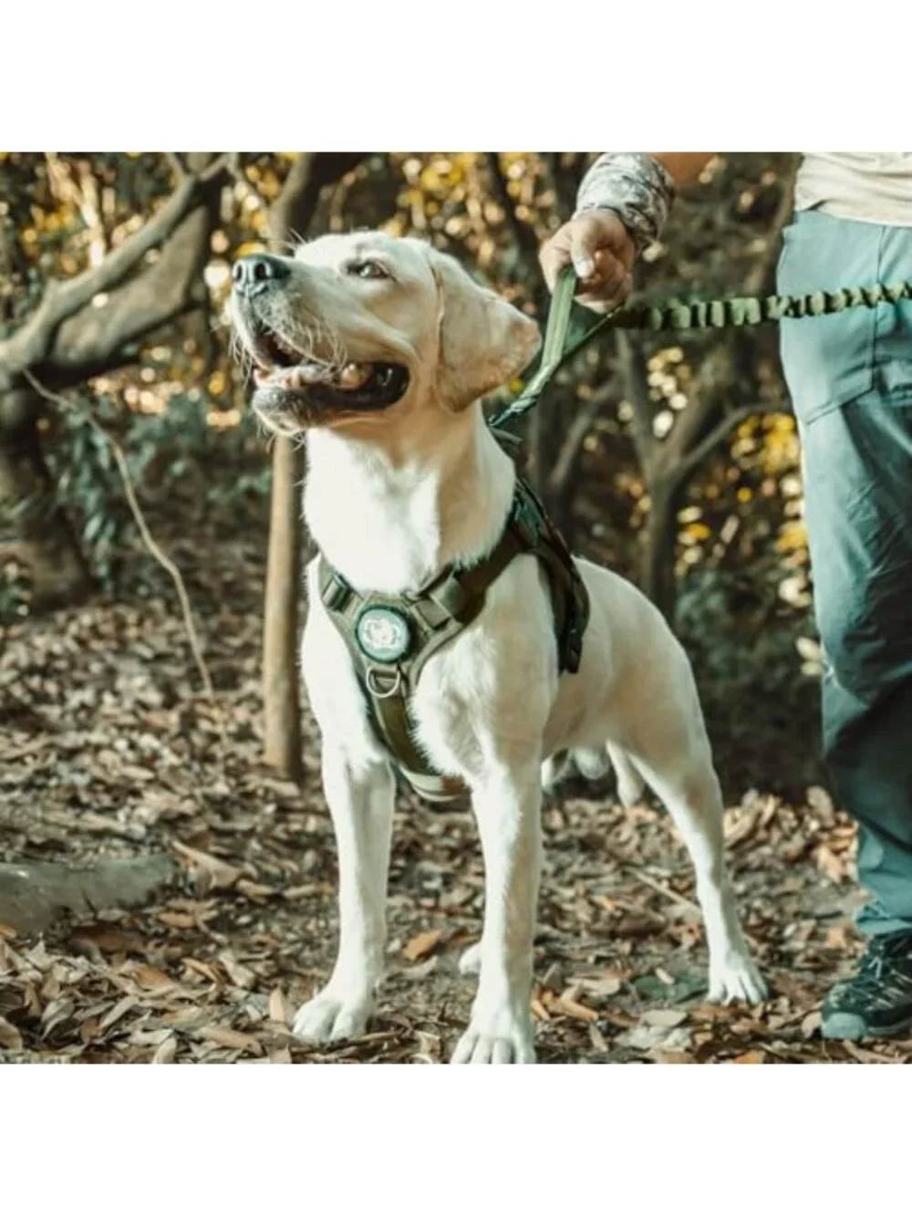 Tactical No-Pull Dog Harness - Breathable Vest for Small Dogs, Adjustable Fit